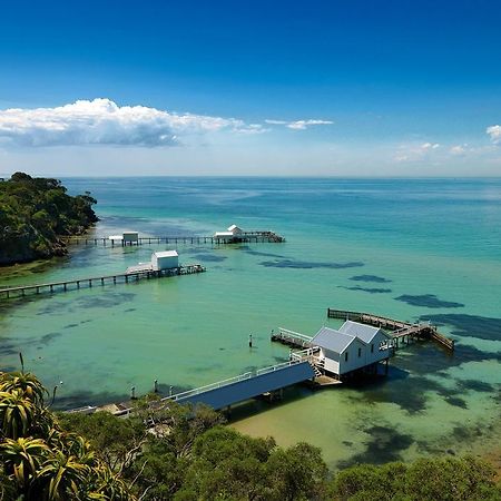 Bayplay Beach Cottage - Pet Friendly Queenscliff Pokoj fotografie